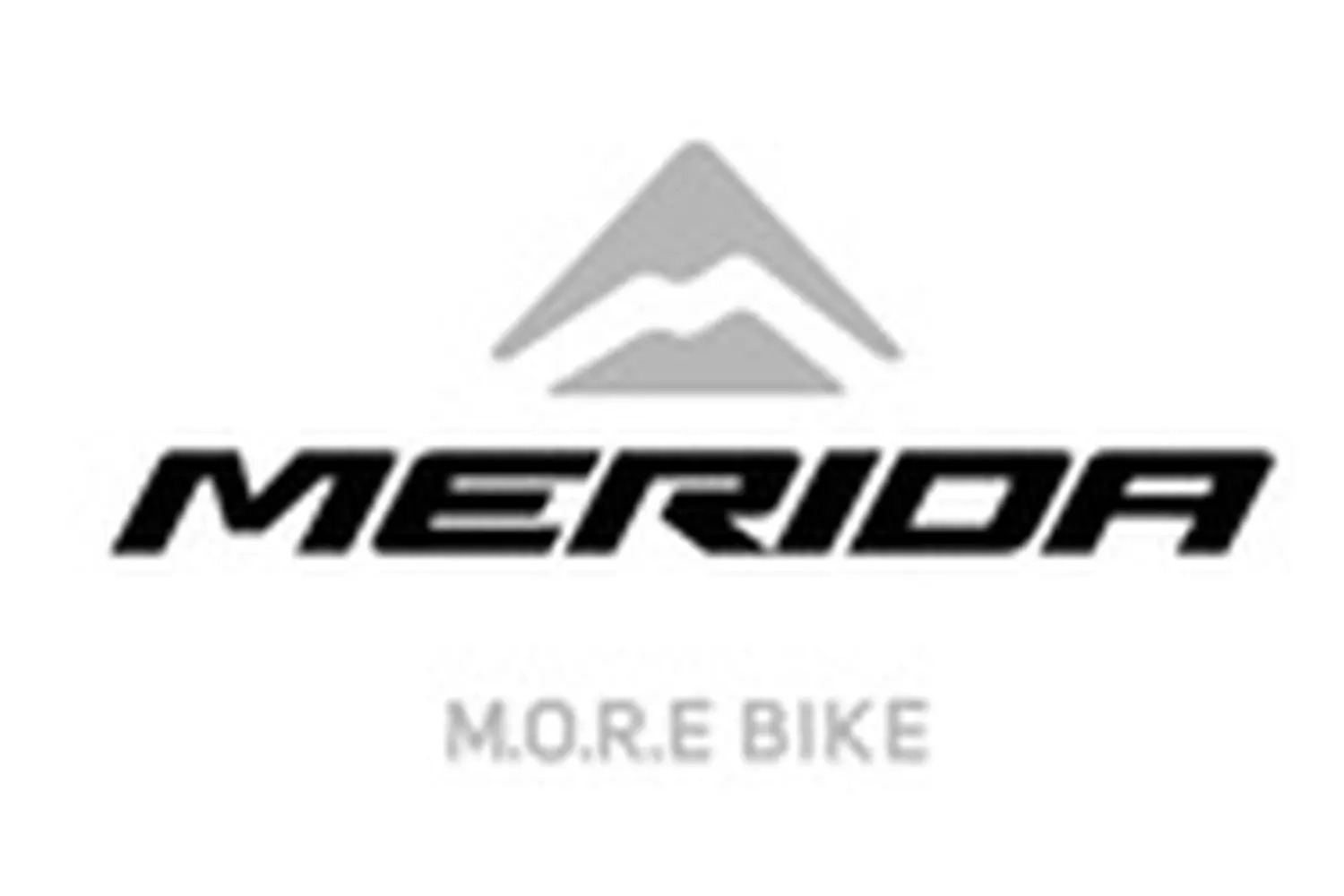 Logo merida