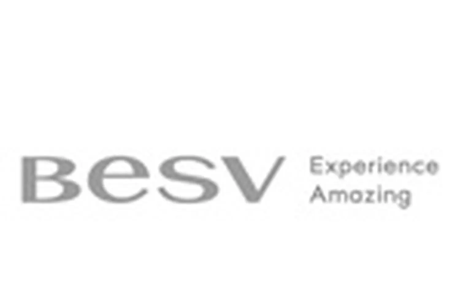 Logo besv